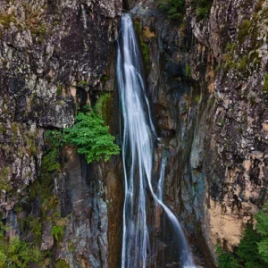 میلاش - گیلان