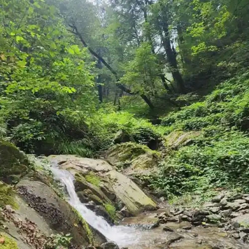 دره بند بند - گلستان