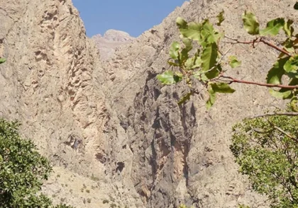 دره تاف - کرمانشاه