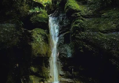 پلنگ دره - مازندران