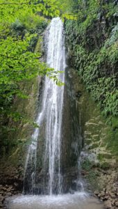 ملیچ چران گلستان