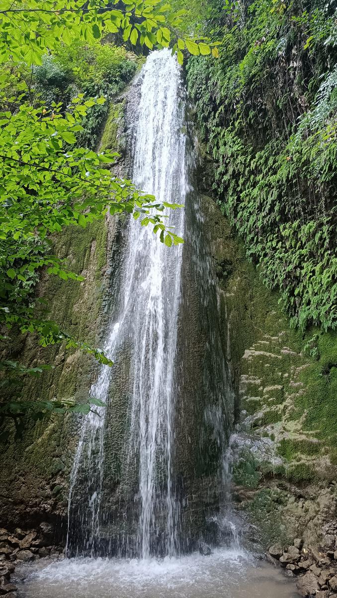 ملیچ چران گلستان
